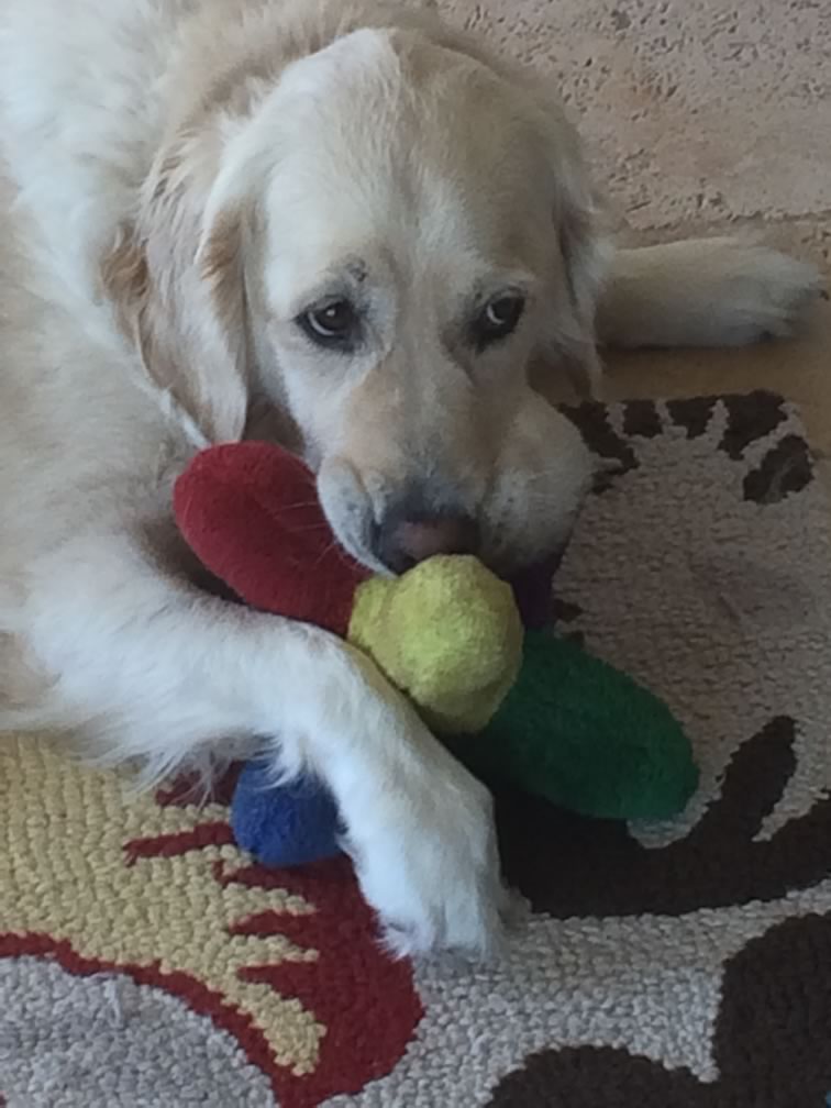 Abbey With Ball