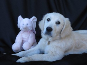 IMG_0643 - Copy
